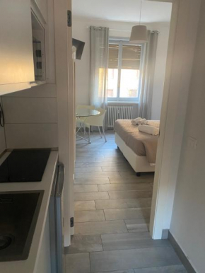 Domus Dotta New